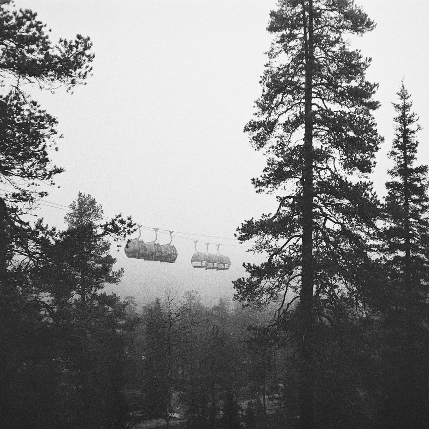 Gondola lift cabins passing through misty pine forest