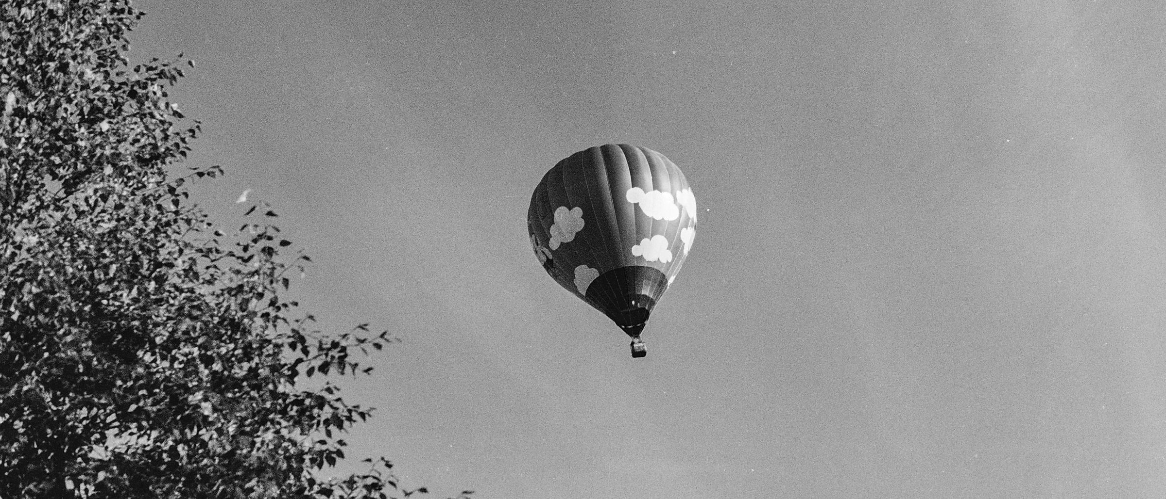 Hot air balloon decorated with clouds, drifting past a birch tree
